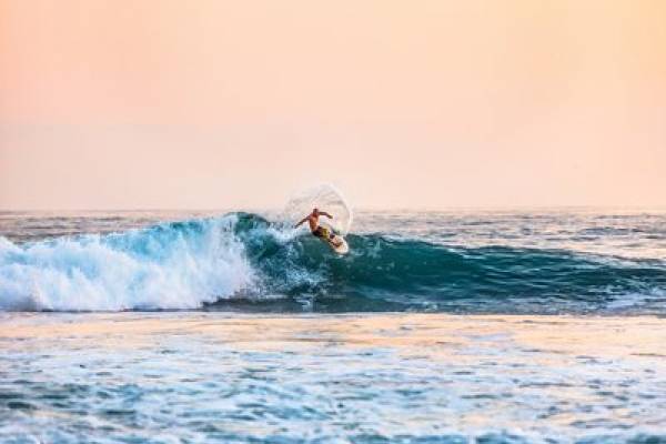 Fishing Charters and Beach Rentals