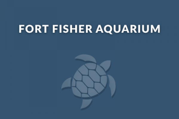 Fort Fisher Aquarium Fort Fisher Aquarium