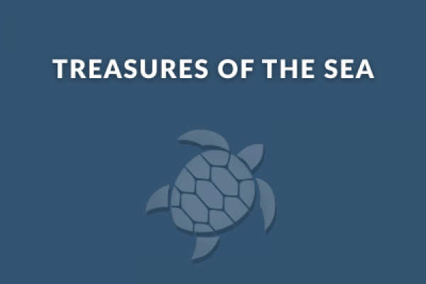Treasures of the Sea Treasures of the Sea
