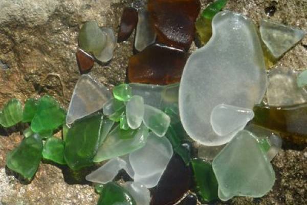 Treasures of the Sea