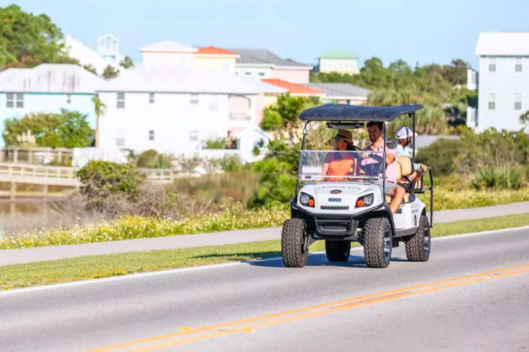 family golf cart