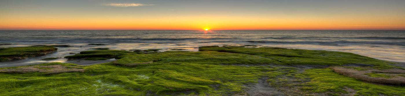 coquina rocks kure beach